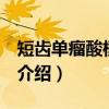 短齿单瘤酸模 变种（关于短齿单瘤酸模 变种介绍）