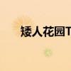 矮人花园TD（关于矮人花园TD介绍）