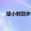 矮小刺剑水蚤（关于矮小刺剑水蚤介绍）