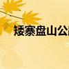 矮寨盘山公路（关于矮寨盘山公路介绍）