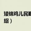 矮锦鸡儿民勤群体（关于矮锦鸡儿民勤群体介绍）