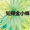 短颊金小蜂属（关于短颊金小蜂属介绍）