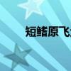 短鳍原飞鱼（关于短鳍原飞鱼介绍）