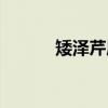 矮泽芹属（关于矮泽芹属介绍）