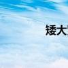 矮大紧（关于矮大紧介绍）