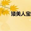 矮美人宝螺（关于矮美人宝螺介绍）