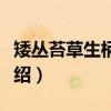 矮丛苔草生柄锈菌(关于矮丛苔草生柄锈菌介绍) 矮丛苔草生柄锈菌(关于矮丛苔草生柄锈菌介绍)
