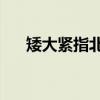 矮大紧指北1（关于矮大紧指北1介绍）
