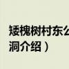 矮槐树村东公路涵洞（关于矮槐树村东公路涵洞介绍）
