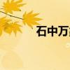 石中万象(关于石中万象介绍) 石中万象(关于石中万象介绍)