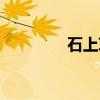石上草（关于石上草介绍）