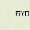 石丫口村（关于石丫口村介绍）