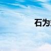石为斌（关于石为斌介绍）