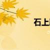 石上藤（关于石上藤介绍）