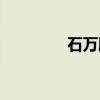 石万鹏（关于石万鹏介绍）