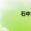 石中立（关于石中立介绍）