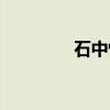石中怪（关于石中怪介绍）