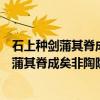 石上种剑蒲其脊成矣非陶隐居所谓溪荪者耶（关于石上种剑蒲其脊成矣非陶隐居所谓溪荪者耶介绍）