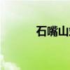 石嘴山站（关于石嘴山站介绍）