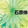 石原伸晃（关于石原伸晃介绍）