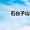 石台子山城（关于石台子山城介绍）