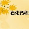 石化钙积层（关于石化钙积层介绍）