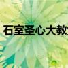 石室圣心大教堂（关于石室圣心大教堂介绍）