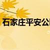 石家庄平安公园（关于石家庄平安公园介绍）