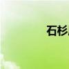 石杉属（关于石杉属介绍）