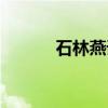 石林燕语（关于石林燕语介绍）