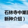 石林寺中巢珊瑚 新种（关于石林寺中巢珊瑚 新种介绍）