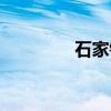 石家镇（关于石家镇介绍）