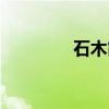 石木霞（关于石木霞介绍）