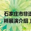 石家庄市非遗精粹展演（关于石家庄市非遗精粹展演介绍）