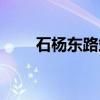 石杨东路站（关于石杨东路站介绍）