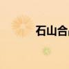 石山合战（关于石山合战介绍）