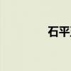 石平五（关于石平五介绍）