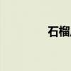 石榴庄（关于石榴庄介绍）