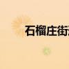 石榴庄街道(关于石榴庄街道介绍) 石榴庄街道(关于石榴庄街道介绍)
