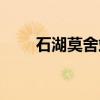 石湖莫舍站（关于石湖莫舍站介绍）