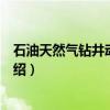 石油天然气钻井动力装备（关于石油天然气钻井动力装备介绍）