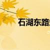 石湖东路站（关于石湖东路站介绍）