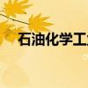 石油化学工业（关于石油化学工业介绍）