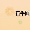 石牛仙踪（关于石牛仙踪介绍）