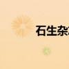石生杂志（关于石生杂志介绍）