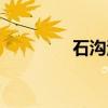 石沟河（关于石沟河介绍）