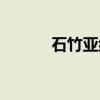 石竹亚纲（关于石竹亚纲介绍）