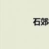 石郊村（关于石郊村介绍）