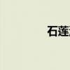 石莲汤（关于石莲汤介绍）
