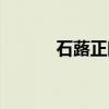 石蕗正晴（关于石蕗正晴介绍）